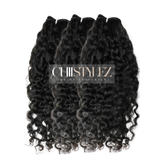 Burmese Curly