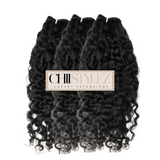 Burmese Curly
