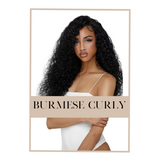 Burmese Curly